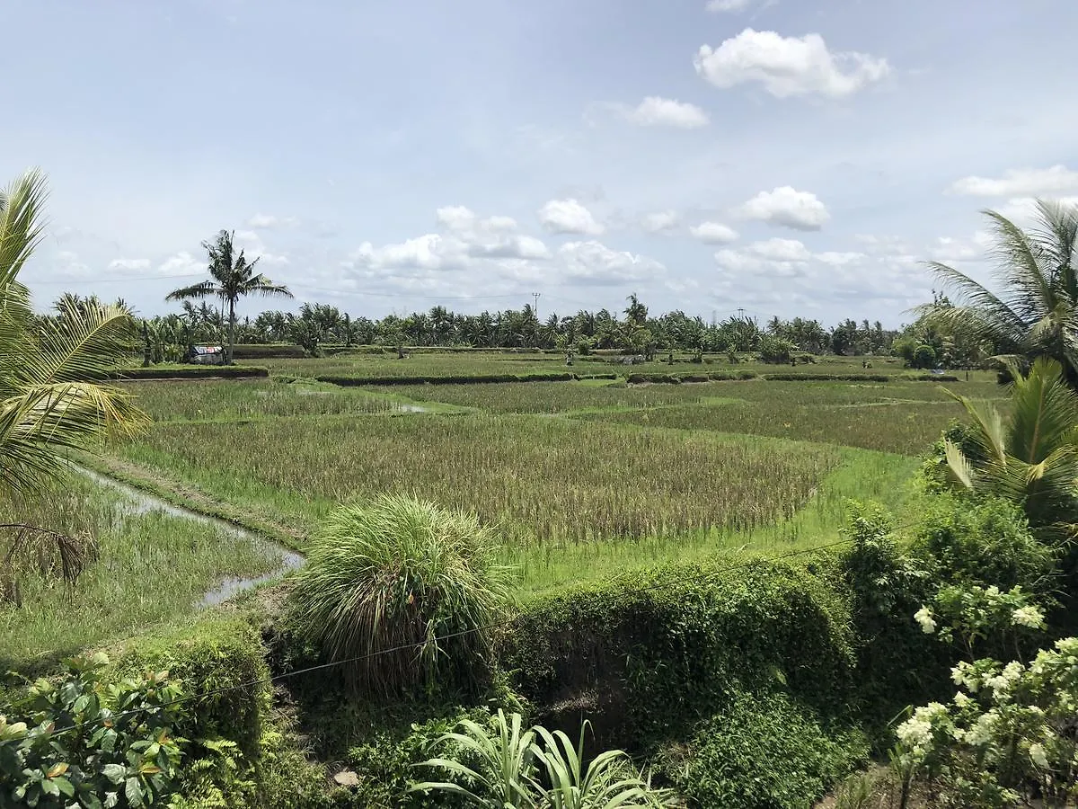 Hacco Capsule Hotel Ubud  0*, Ubud (Bali) Indonesia